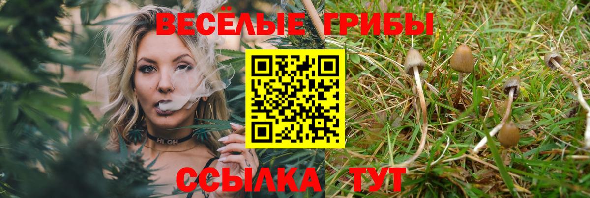 Геленджик  Галлюциногенные грибы мицелий  где найти наркотики  Вход с VPN 